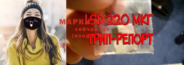 ПСИЛОЦИБИНОВЫЕ ГРИБЫ Алексеевка