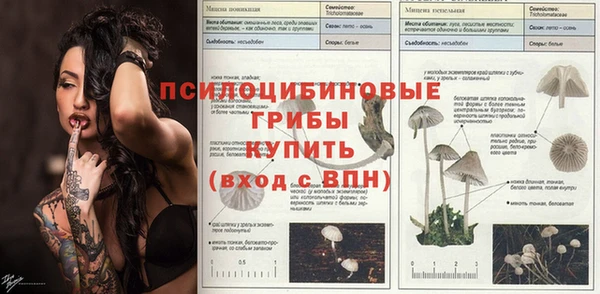 герыч Зеленокумск
