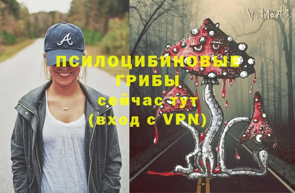мяу мяу мука Алзамай