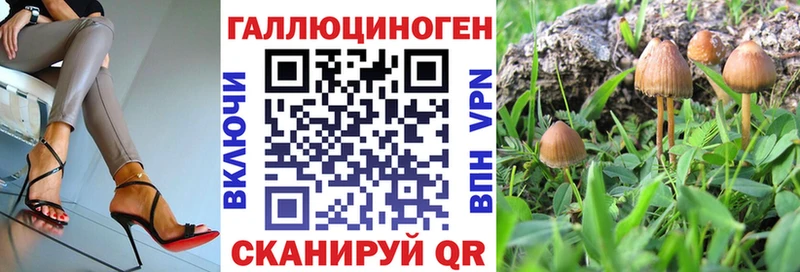 Псилоцибиновые грибы Magic Shrooms  маркетплейс наркотические препараты  Юрга  MEGA ТОР 
